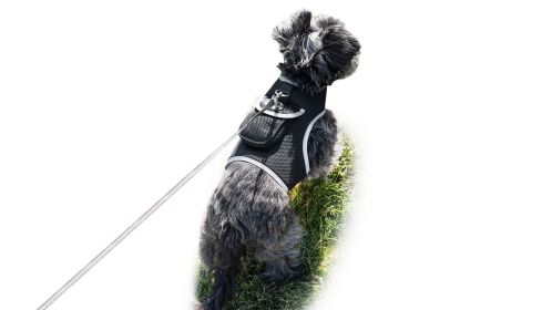 Remote Pet Surveillance Pet Tracker Waterproof Collar Mounted GPS for Pet Size:S - Default