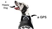 Pet Tracker Wireless Pet Security Surveillance GSM GPS Dog Tracking System Size:XS - Default