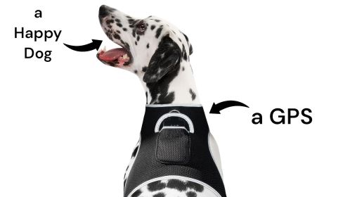 Pet Tracker Wireless Pet Security Surveillance GSM GPS Dog Tracking System Size:XS - Default