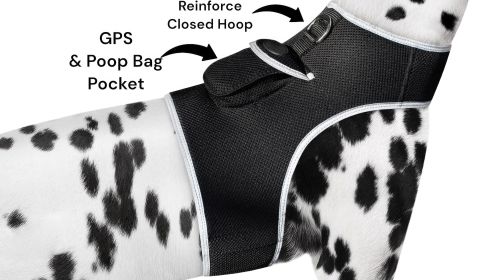 Portable Realtime Remote Surveillance GPS Pet Tracker for Phone w/ App Size:M - Default