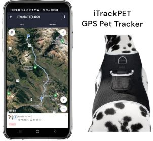 Waterproof GPS Tag Pet Tracker Realtime Security Surveillance System Size:M - Default