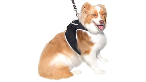 Waterproof GPS Tracking System for Dogs Realtime Pet Security Tracker Size:M - Default
