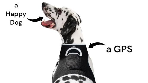 Waterproof GPS Tag Pet Tracker Realtime Security Surveillance System Size:S - Default