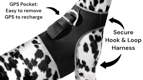 Pocket Collar Pet GPS Tracking Device Dog Cat Wireless Security System Size:M - Default