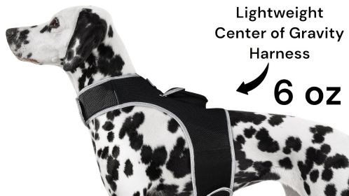 Remote Pet Surveillance Pet Tracker GPS Dog Trackers Collar Mounted Finder Size:XL - Default