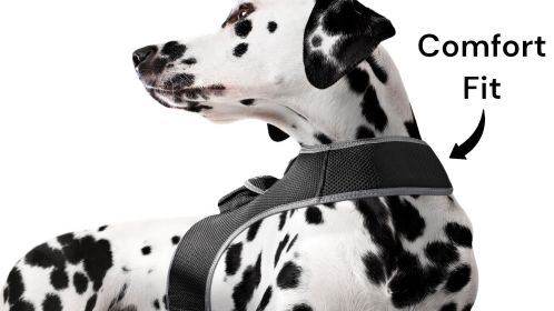 Portable Realtime Remote Surveillance GPS Pet Tracker for Phone w/ App Size:XXL - Default
