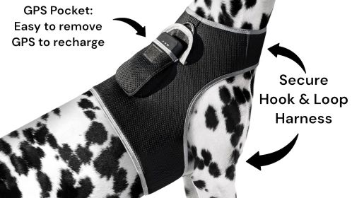 Remote Pet Surveillance Pet Tracker GPS Dog Trackers Collar Mounted Finder Size:XXL - Default