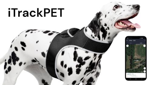 Pet Tracker Pocket GPS Dog Tracking Systems for Pet Security Surveillance Size:XXL - Default