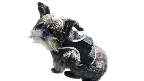 Pocket Waterproof Collar GPS Pet Locator Realtime Remote Surveillance Size:XXL - Default