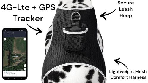 Remote Pet Surveillance Pet Tracker Waterproof Collar Mounted GPS for Pet Size:XS - Default