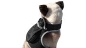 Mini GSM GPS Dog Tracking Systems with Alarm for Pet Wireless Security Size:M - Default