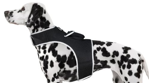 Pocket Waterproof Collar GPS Pet Locator Realtime Remote Surveillance Size:L - Default