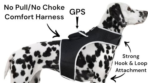 Waterproof GPS Tracking System for Dogs Realtime Pet Security Tracker Size:L - Default