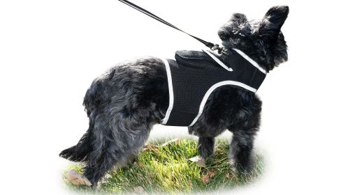 Pet Tracker Pocket GPS Dog Tracking Systems for Pet Security Surveillance Size:L - Default