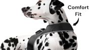 Waterproof GPS Tag Pet Tracker Realtime Security Surveillance System Size:S - Default