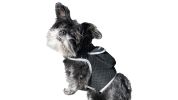 Waterproof GPS Tracking System for Dogs Realtime Pet Security Tracker Size:XS - Default