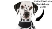 Mini GSM GPS Dog Tracking Systems with Alarm for Pet Wireless Security Size:S - Default