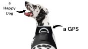 Pet Tracker Pocket GPS Dog Tracking Systems for Pet Security Surveillance Size:L - Default
