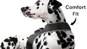 Realtime GPS Pet Tracker for Phone - Wireless Remote Pet Surveillance Size:M - Default