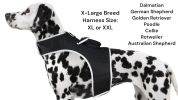 Remote Pet Surveillance Pet Tracker GPS Dog Trackers Collar Mounted Finder Size:XXL - Default