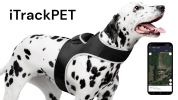 Waterproof GPS Tag Pet Tracker Realtime Security Surveillance System Size:XL - Default