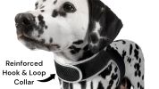 Pocket Waterproof Collar GPS Pet Locator Realtime Remote Surveillance Size:XS - Default