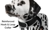 Pet Tracker Security Collar GPS for Pet Wireless GSM GPRS Tracking System Size:XXL - Default