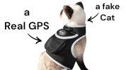 Portable Realtime Remote Surveillance GPS Pet Tracker for Phone w/ App Size:M - Default