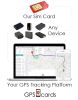 GPS cards for GPS-108A Real-Time GPS Tracker for Pet Safety &Vehicle Security - Default