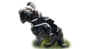 Portable Realtime Remote Surveillance GPS Pet Tracker for Phone w/ App Size:L - Default