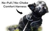 Portable Realtime Remote Surveillance GPS Pet Tracker for Phone w/ App Size:L - Default
