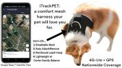 Waterproof GPS Tag Pet Tracker Realtime Security Surveillance System Size:L - Default