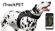 Remote Pet Surveillance Pet Tracker GPS Dog Trackers Collar Mounted Finder Size:L - Default